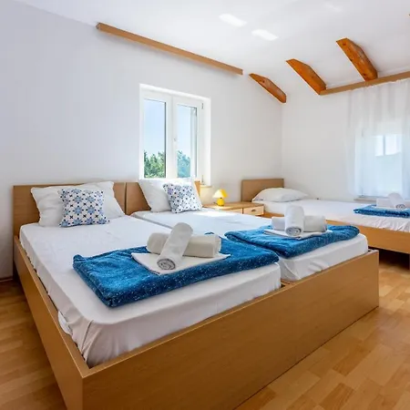 Neven * Grizane-Belgrad